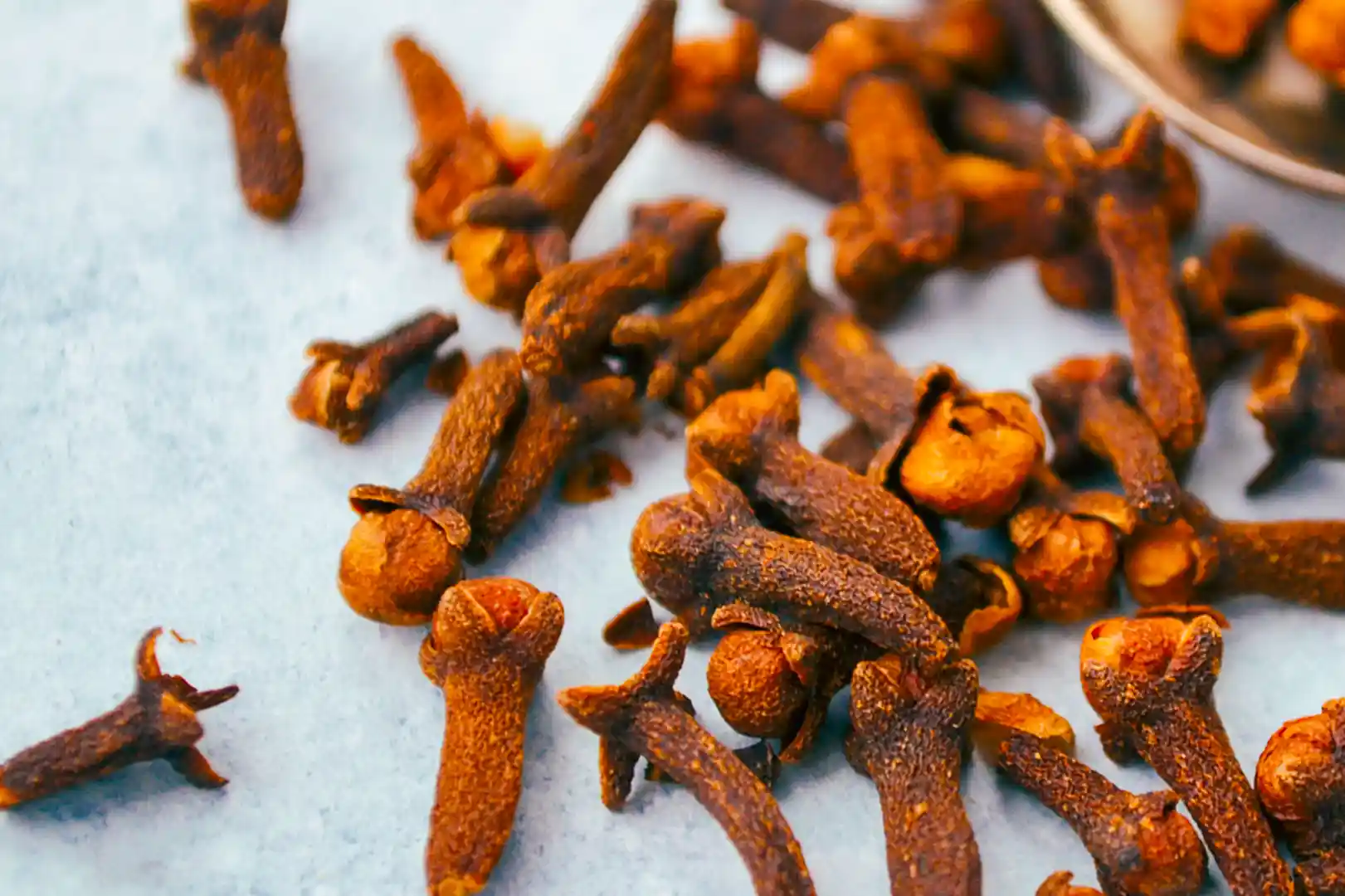 pengiriman cengkeh ke nusantara