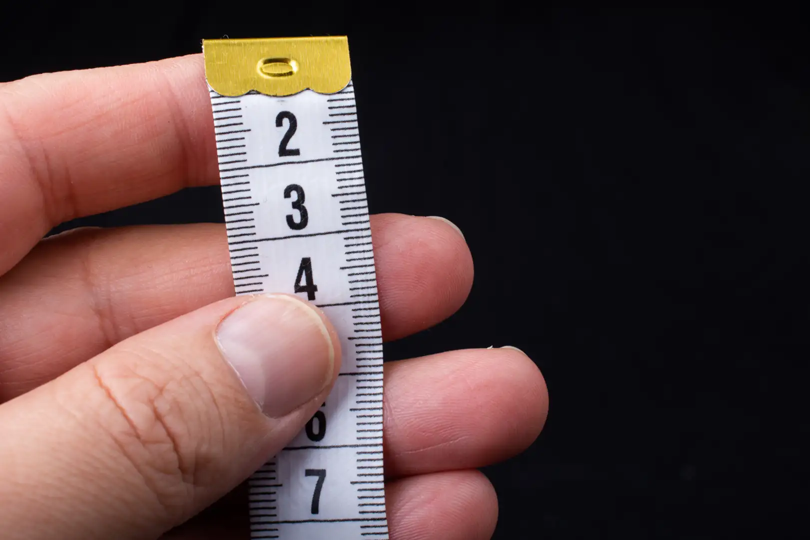 kontainer 20 feet dan 40 feet