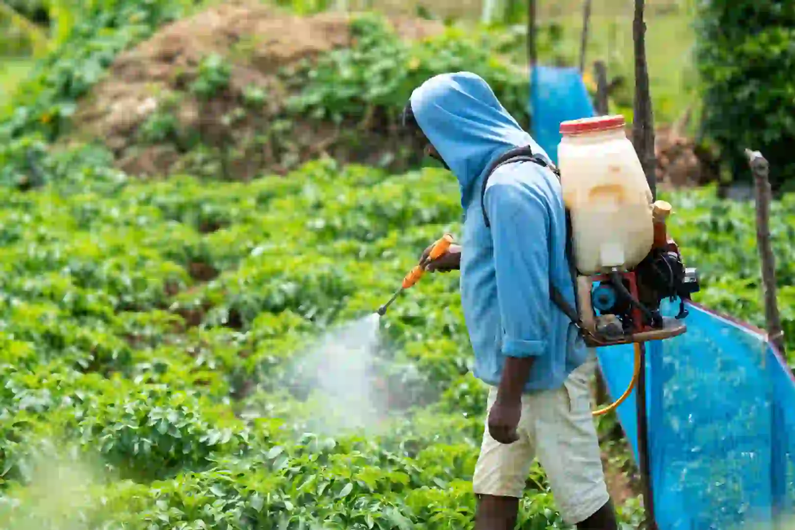 mengatur jadwal pengiriman