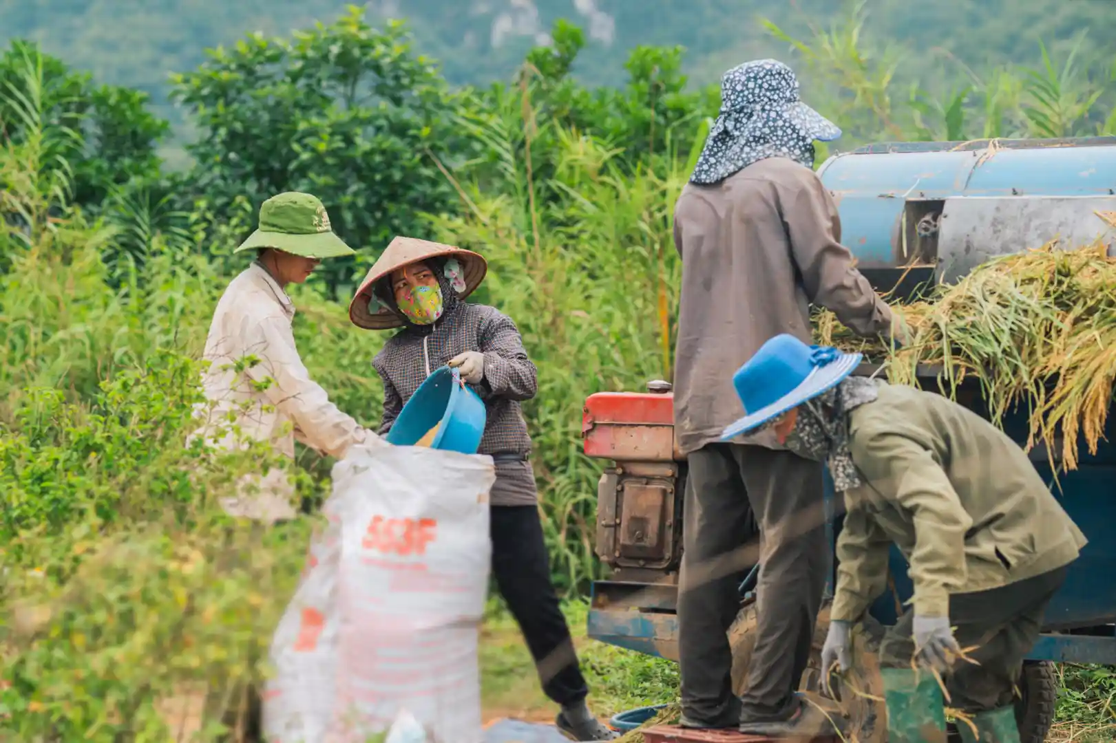 strategi pengiriman hasil panen