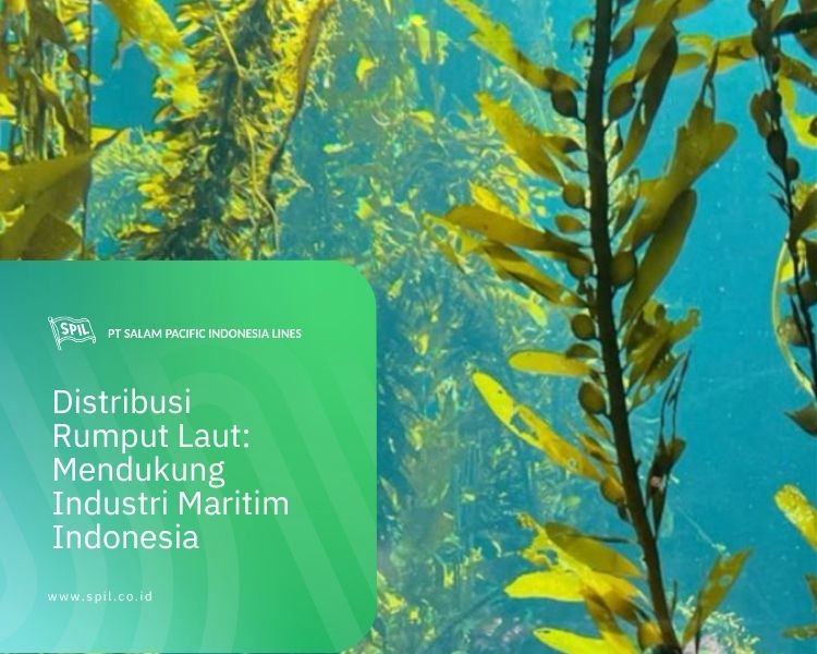 Distribusi Rumput Laut: Mendukung Industri Maritim Indonesia - Info ...